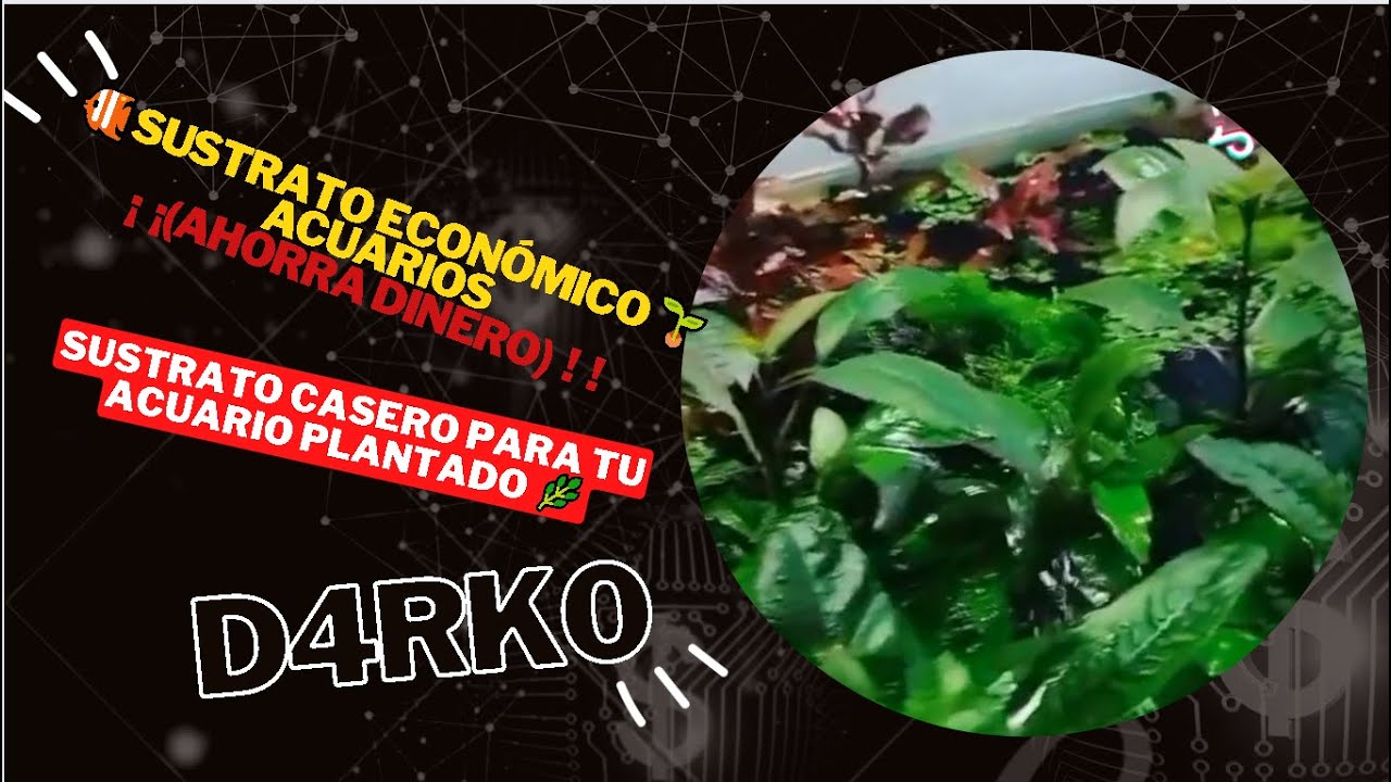 🐠SUSTRATO ECONÓMICO 🌱Sustrato casero para acuario plantado 🌿