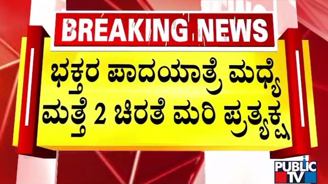 2 Leopard Cubs Found In Male Mahadeshwara Hills; Fear Grips Devotees | Public TV