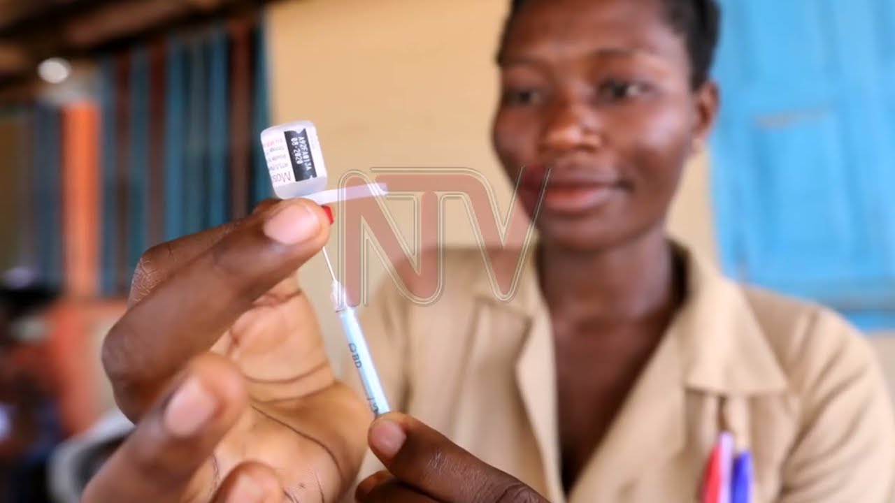 Malaria vaccine will become part of routine immunisation in 2024