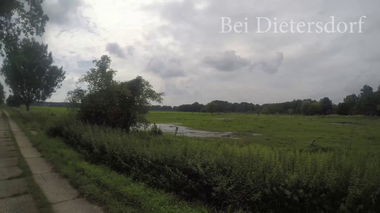02 08 2017 Am Angelteich