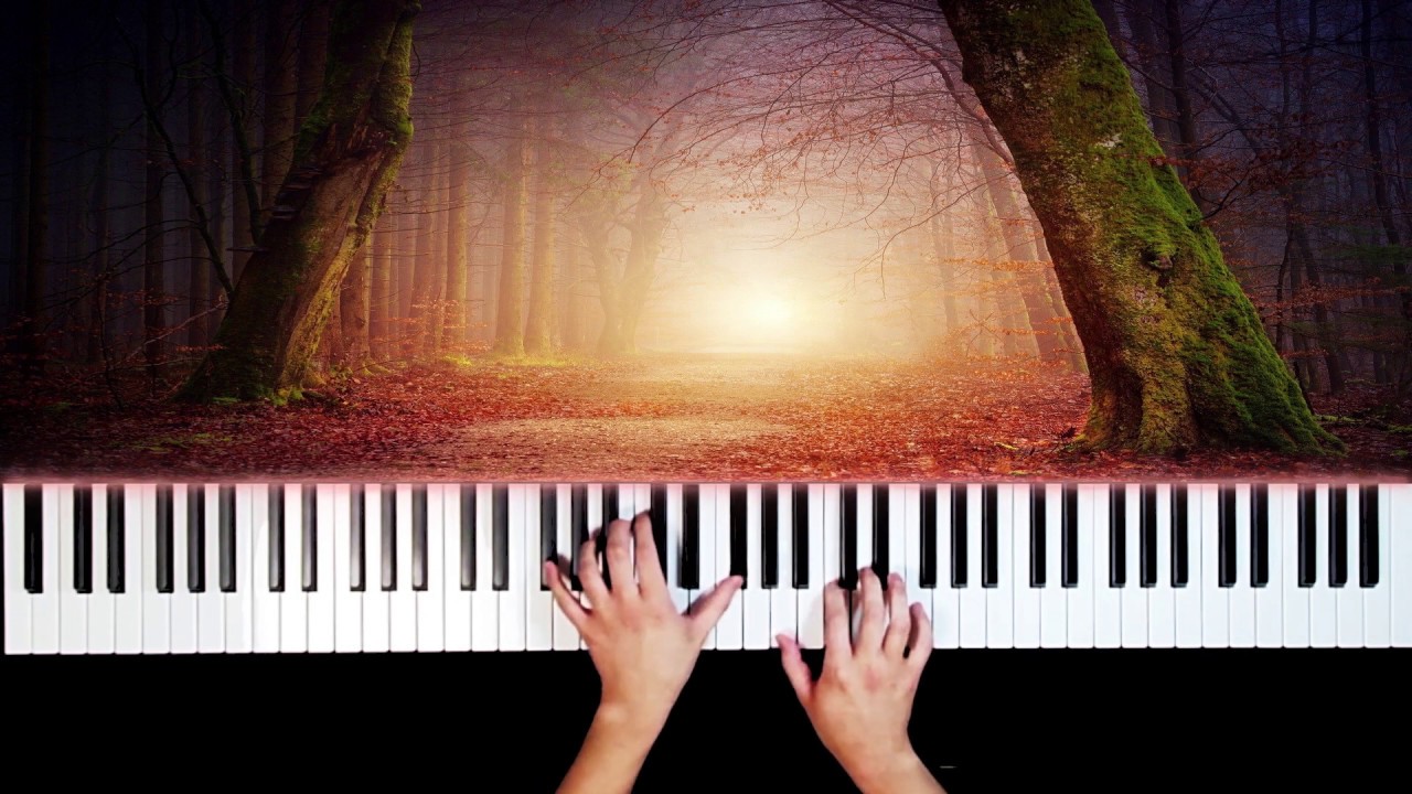 Tido Kang - 단풍maple piano cover (아련한 동양풍 음악)