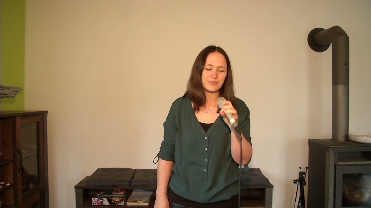 Skyfall - Adele - James Bond (Cover: Birgit Kraft)