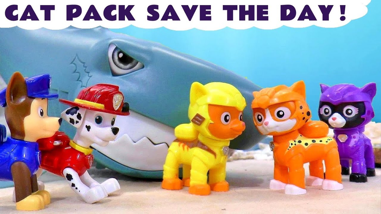 The Cat Pack help Chase and Marshall Perform a Rescue