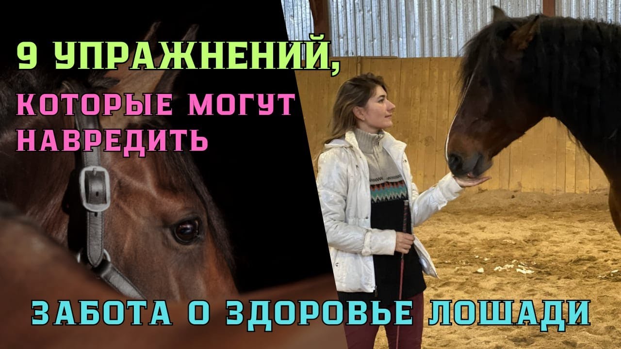 9 УПРАЖНЕНИЙ, которые могут НАВРЕДИТЬ. Сохраняем ЗДОРОВЬЕ лошади