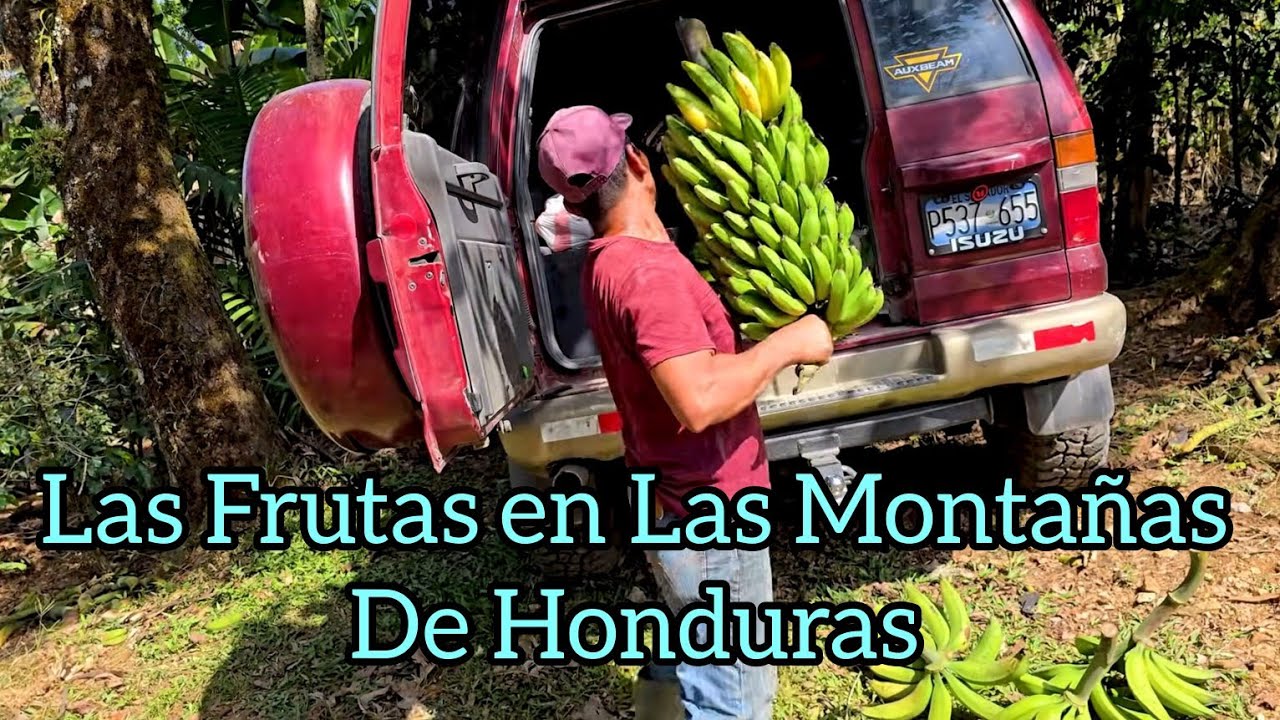 Aquí La Tierra Produce Los Frutos, Montañas de Honduras, Cucuyagua, Copán.