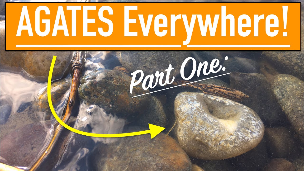 Agate Hunting and Exploring on the Yellowstone River (Part 1) | Montana Rockhounding | Rock Hunting