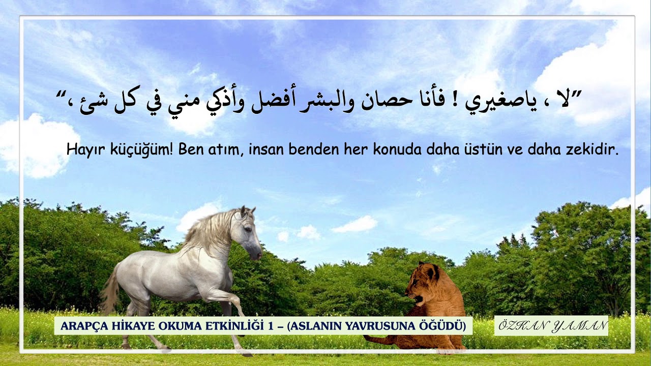 ARAPÇA HİKAYE OKUMA ETKİNLİĞİ 1 (ASLANIN YAVRUSUNA ÖĞÜDÜ)