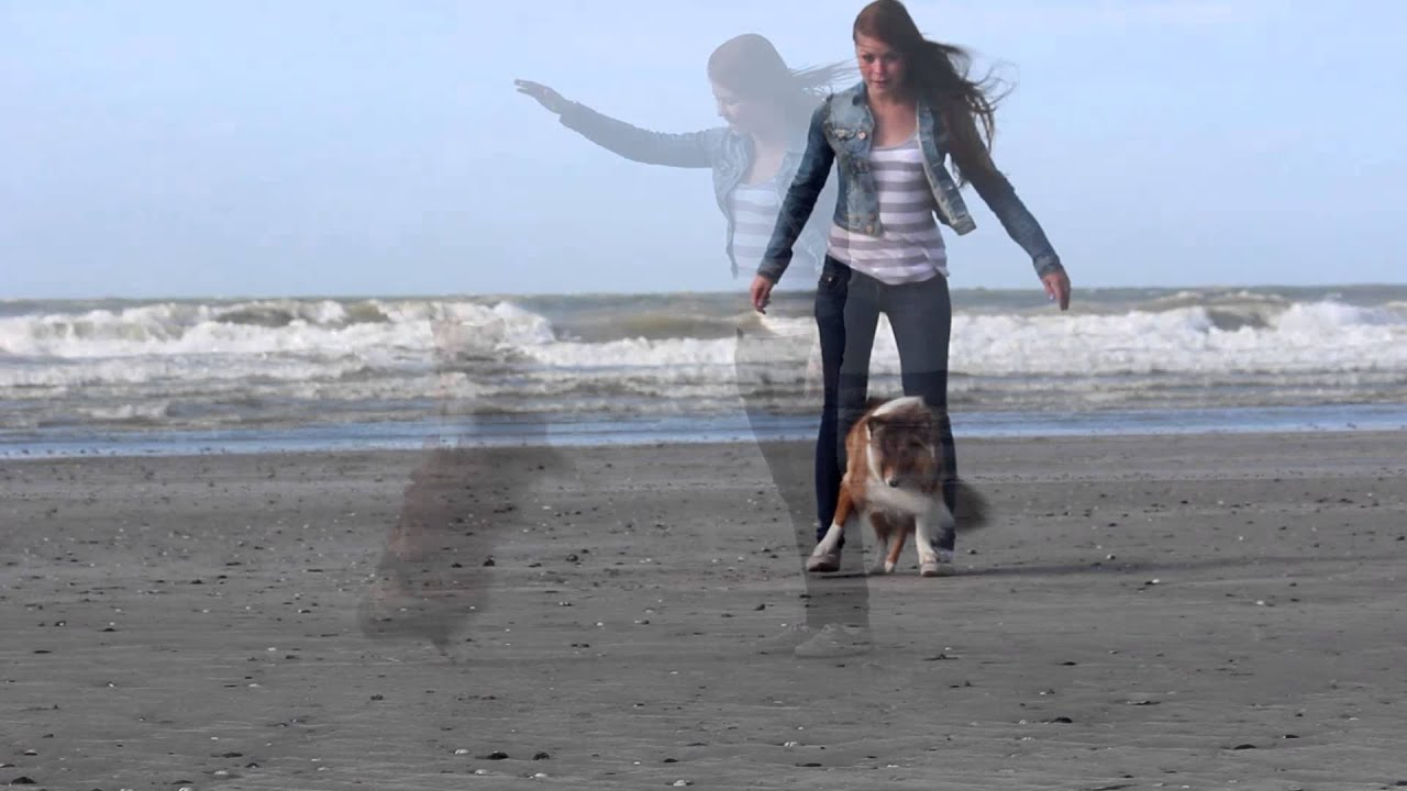 [Simple Beach-Tricks] With Sheltie Diego
