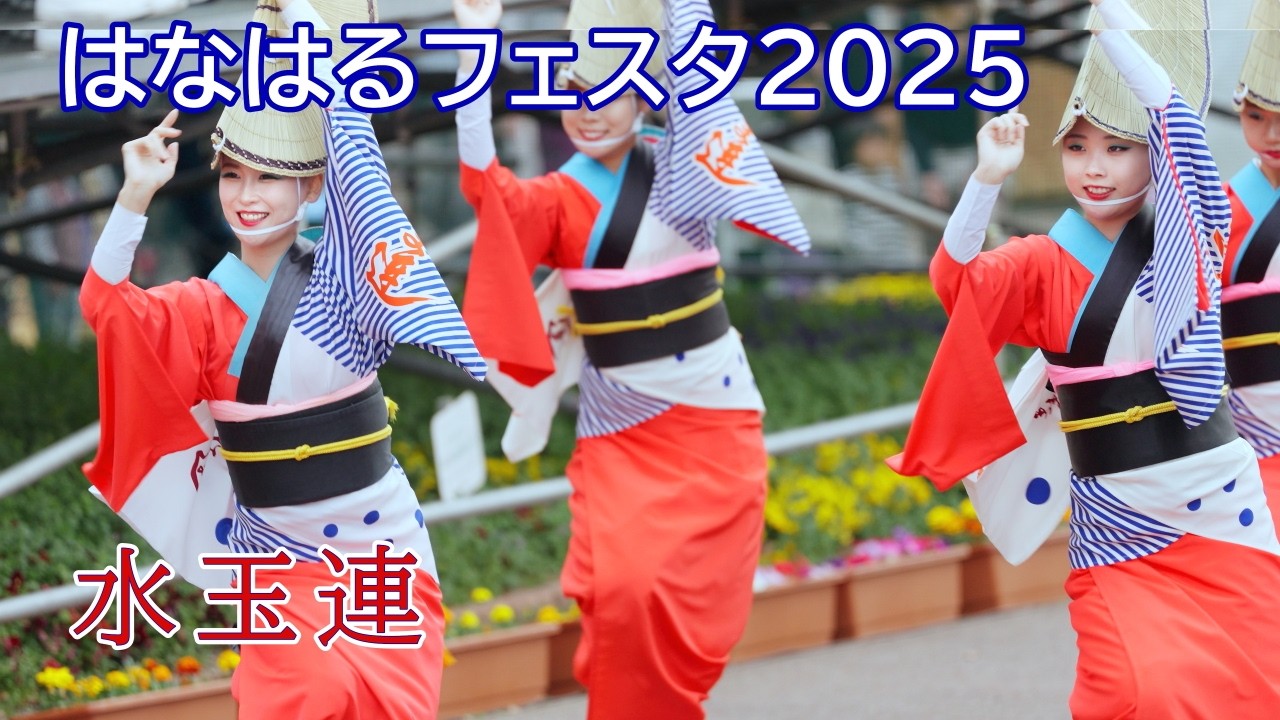 【阿波踊り2025】はなはるフェスタ2025　阿波おどり　水玉連
