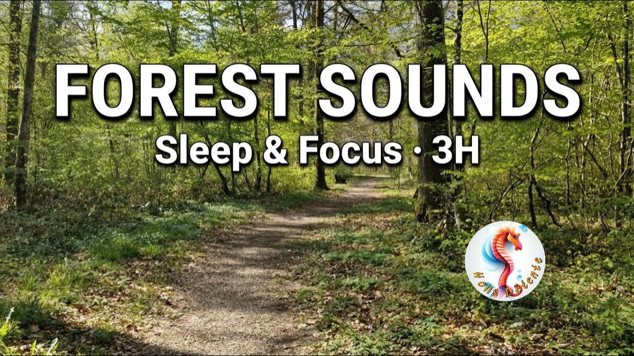 Forest Sounds with Gentle Birds 🌲 3 Hours of Relaxing Nature for Sleep & Focus