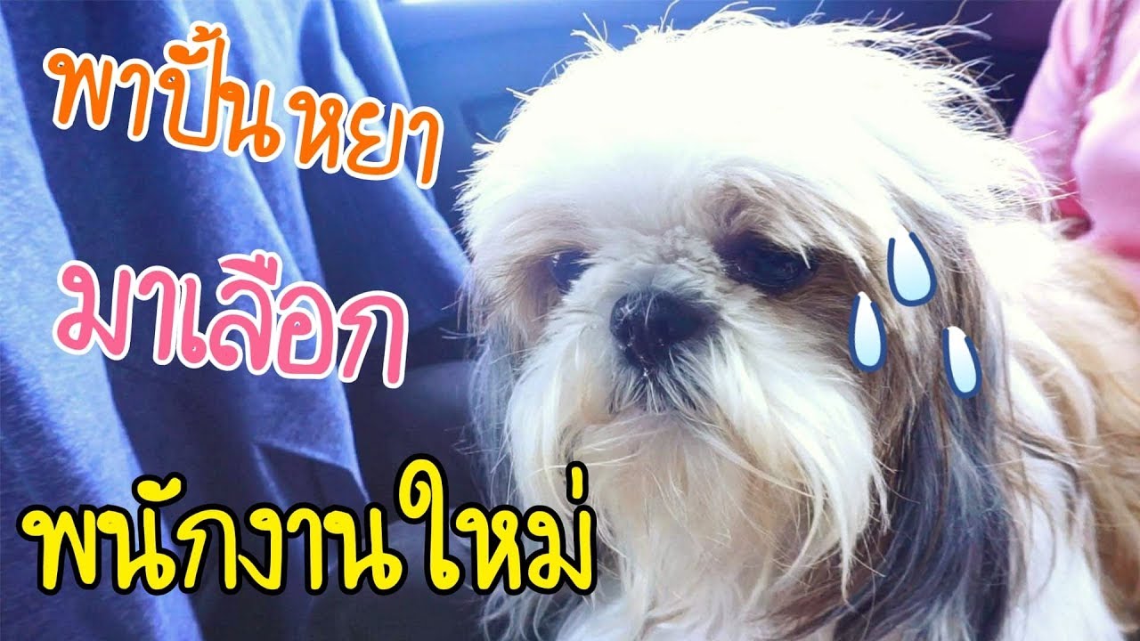 How to select top employees (nong punyah) | น้องปั้นหยา