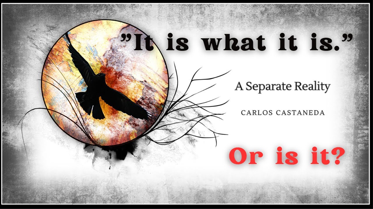 Reality VS Perception Part 2, "it is what it is." Or is it? My ramblings.