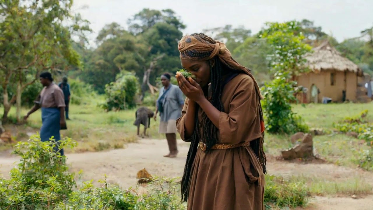 Dubwise Cultura — Best Dub Heritage — Festival Grounds — Tradition Honoring Blessed 🎭