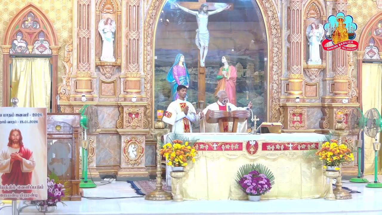 🔴 Live 28 January 2026 @ Vailankanni Shrine Basilica