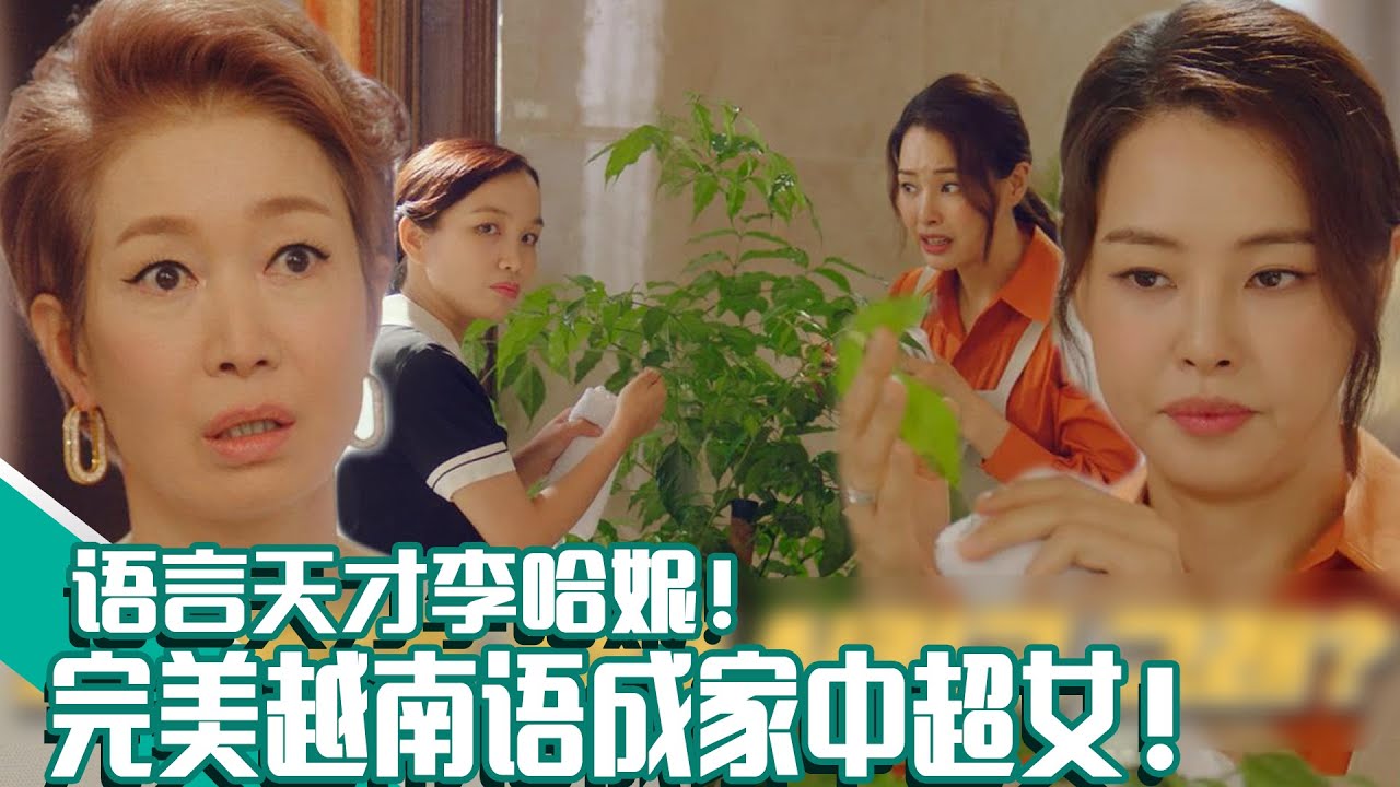 [双面超女] (中字)李哈妮的超能力？👍完美越南语让🤯婆婆🤯气急败坏！
