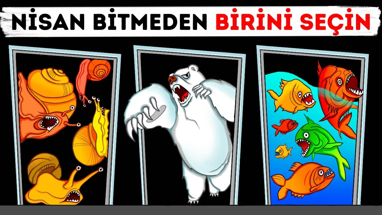 Bu Zor 50+ Bilmece Beyninizi Darmaduman Edecek