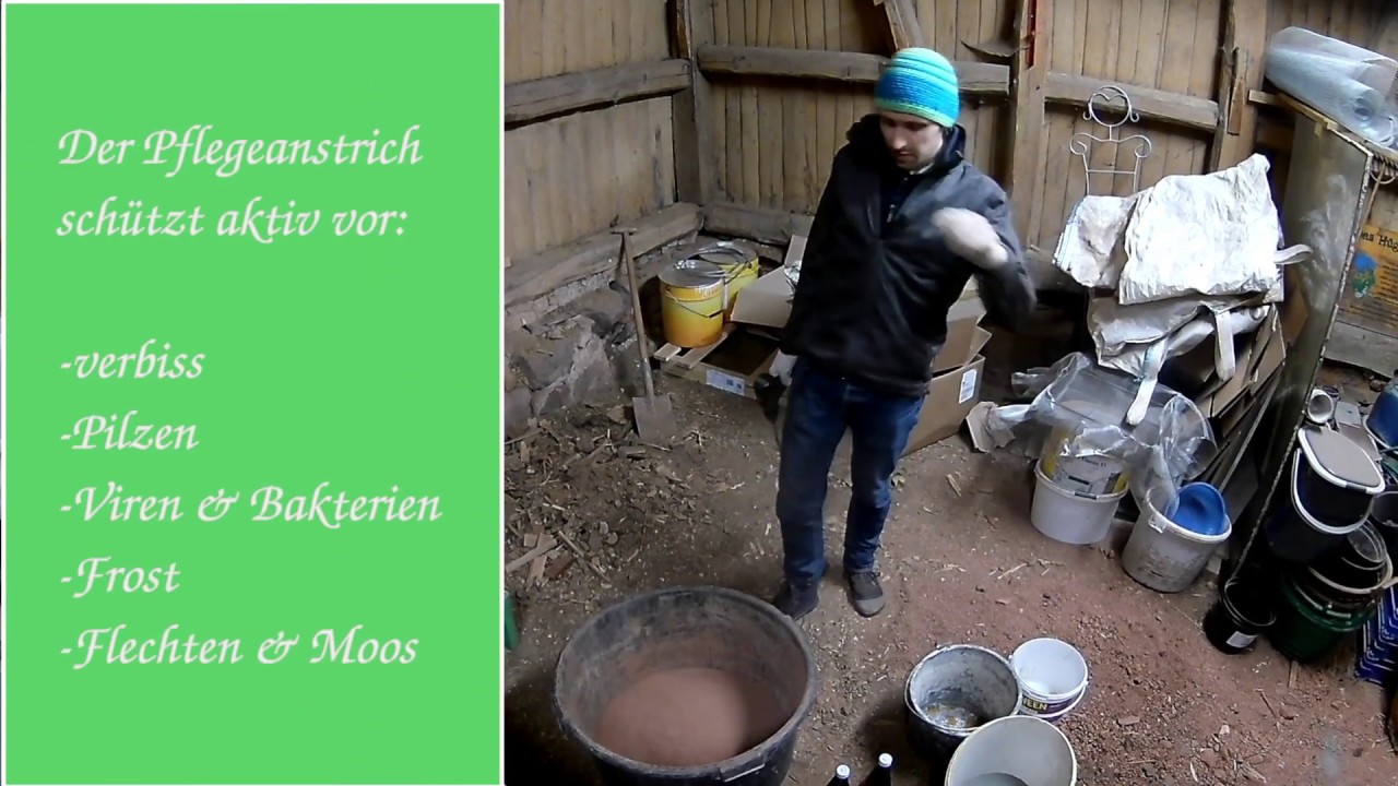 Schutzanstrich für Obstbäume selber herstellen