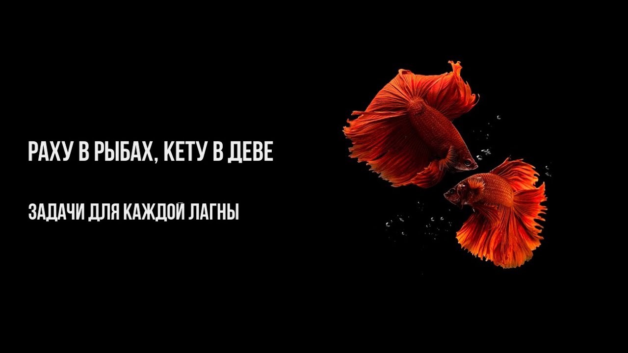 Переход Раху в знак Рыб - обсуждение тенденций для каждой лагны.