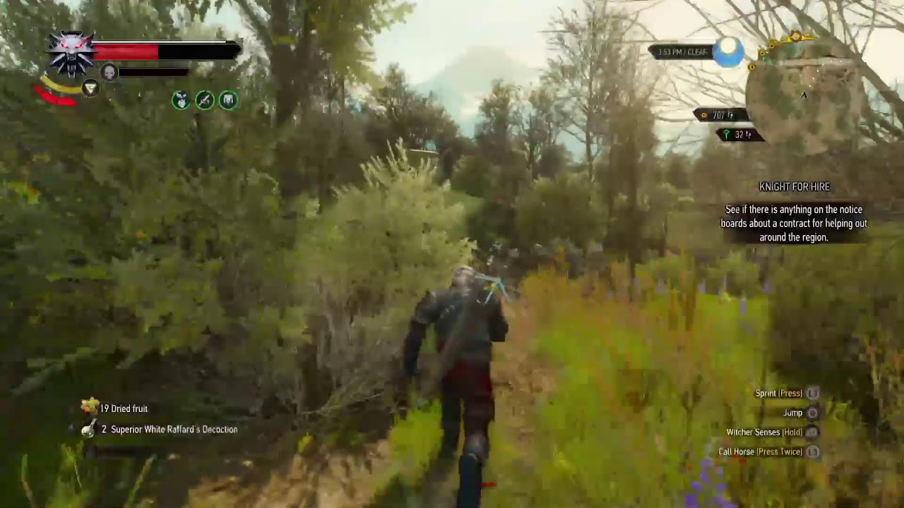 THE WITCHER 3 WILD HUNT |PS5|NG+ DEATH MARK #88