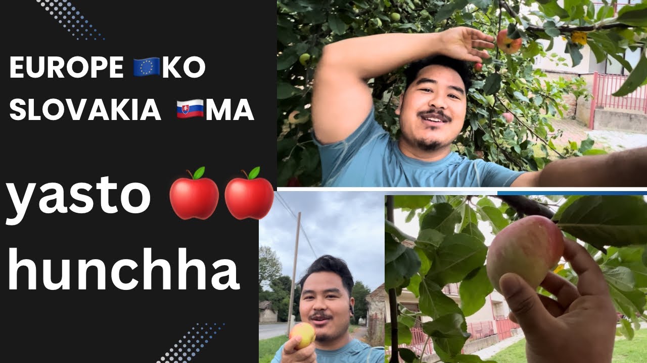 स्याउ 🍏 apple 🍎 slovakia 🇸🇰 ma Yasto khana Pauxa haii guys 🤗💪😇#slovakia #travel @BRMAGAR4