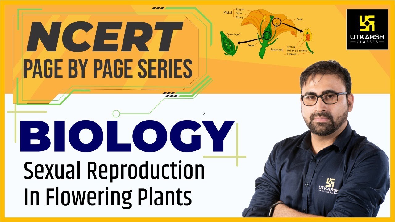 Sexual Reproduction in Flowering Plants | NCERT Page By Page Series ,Biology | By Pratham Nahata Sir
