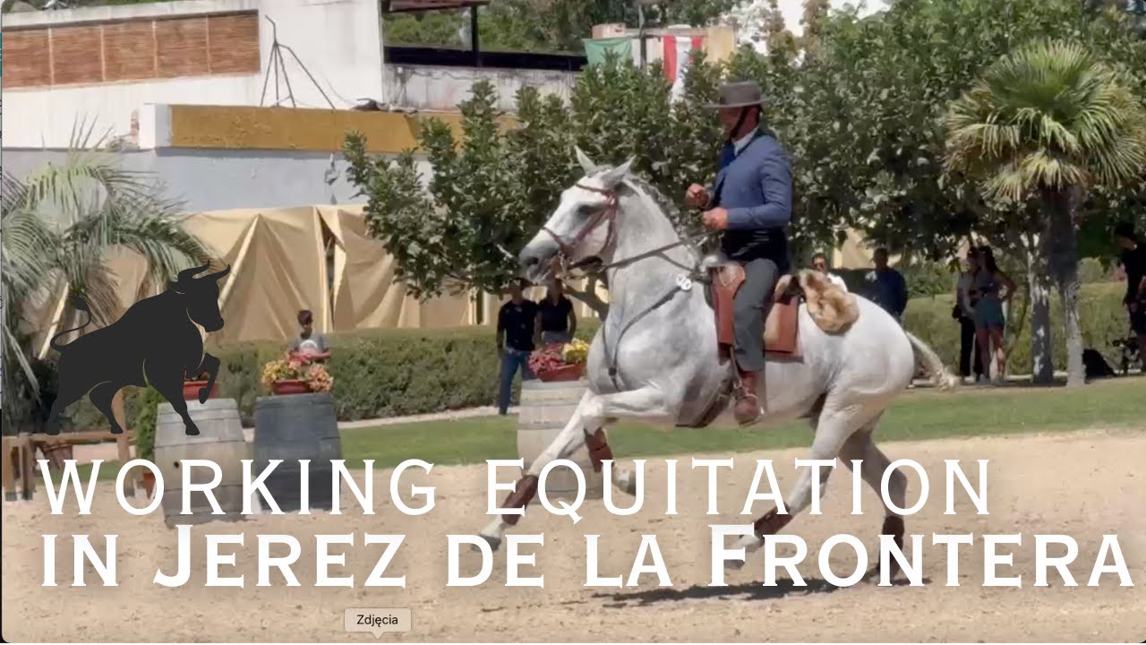 Working Equitation in Jerez de la Frontera!