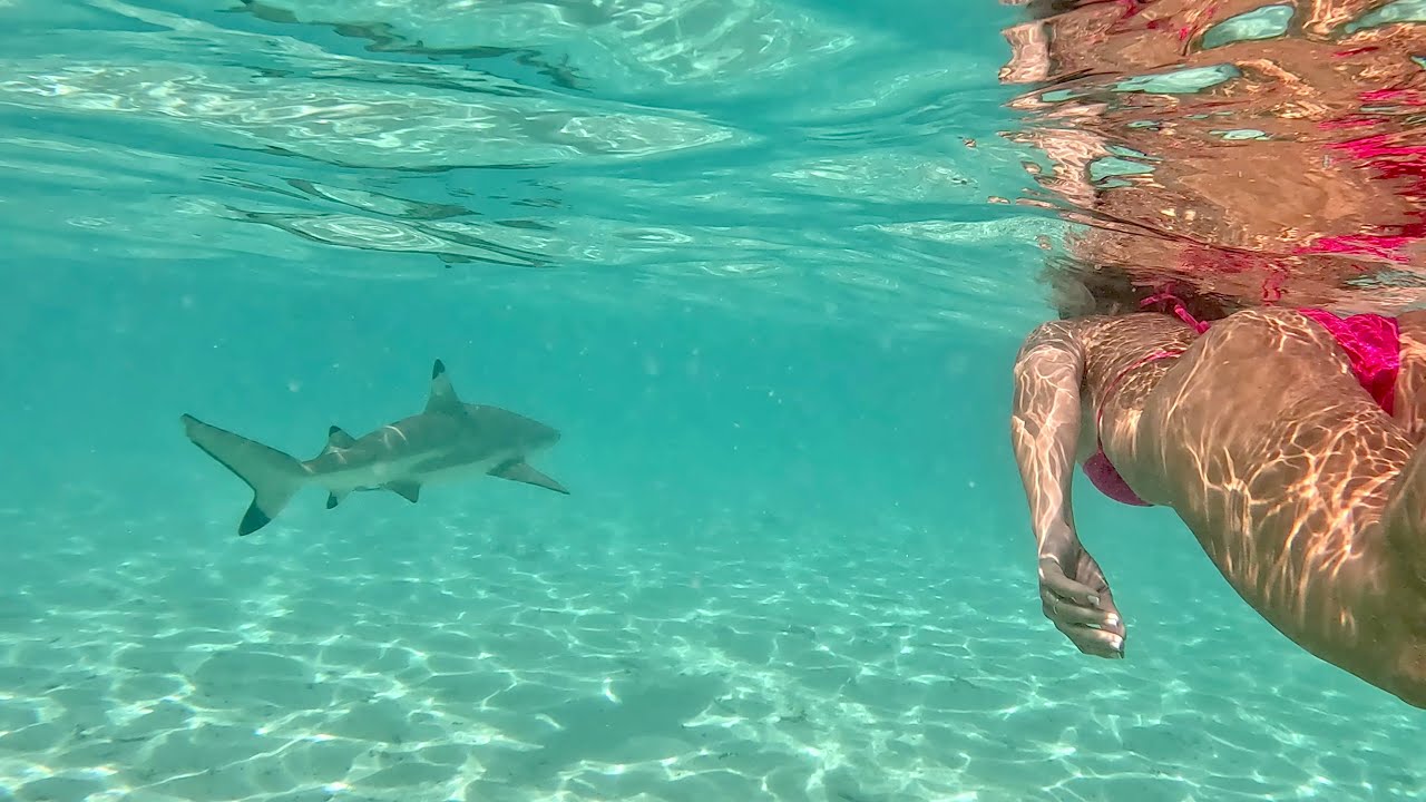 Sherri and Lou take on Bora Bora