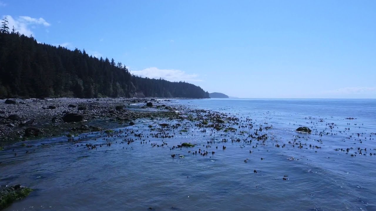 Bear Beach Vancouver Island, BC