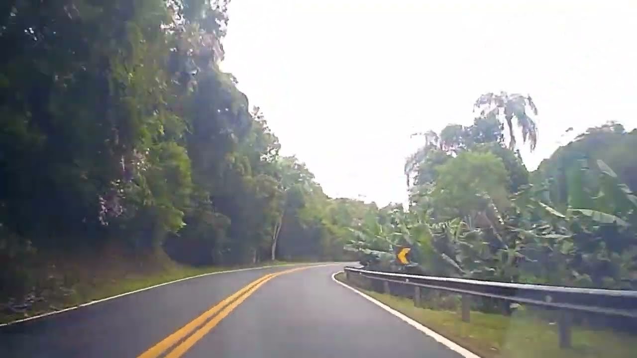 A vida na estrada