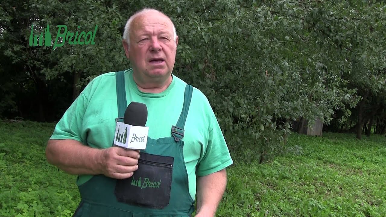 Ako zabrániť stratám pri pálení slivovice