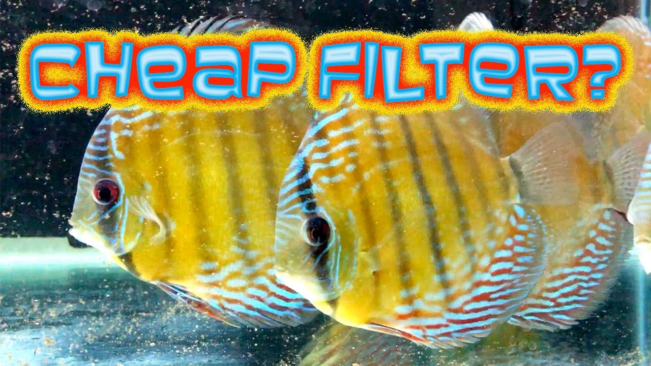 CHEAP FILTERS? Instead how about an economical efficient filter for my aquarium