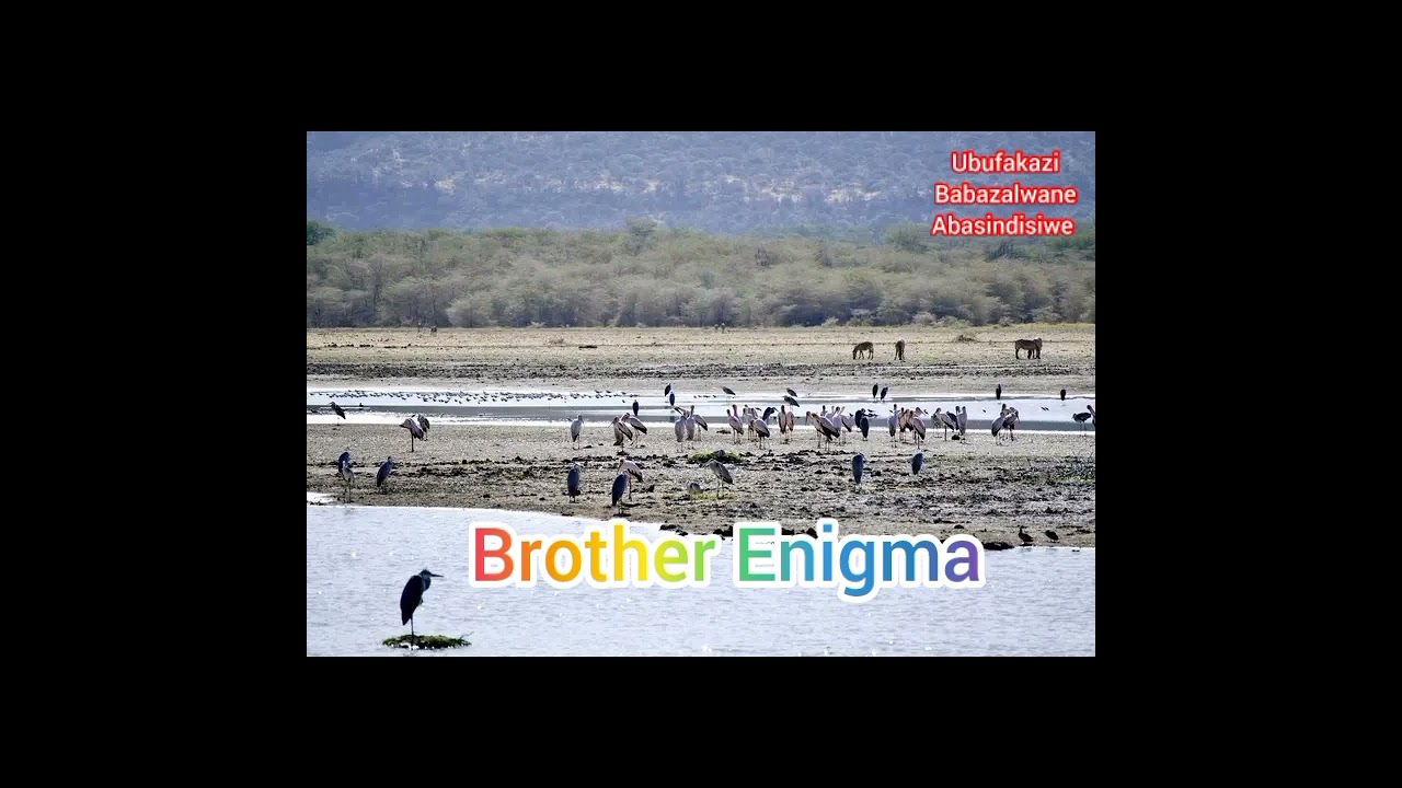 Brother Enigma - abantu bayathola ISambulo Koda abaphenduki, no rest no peace if awuphendukanga.
