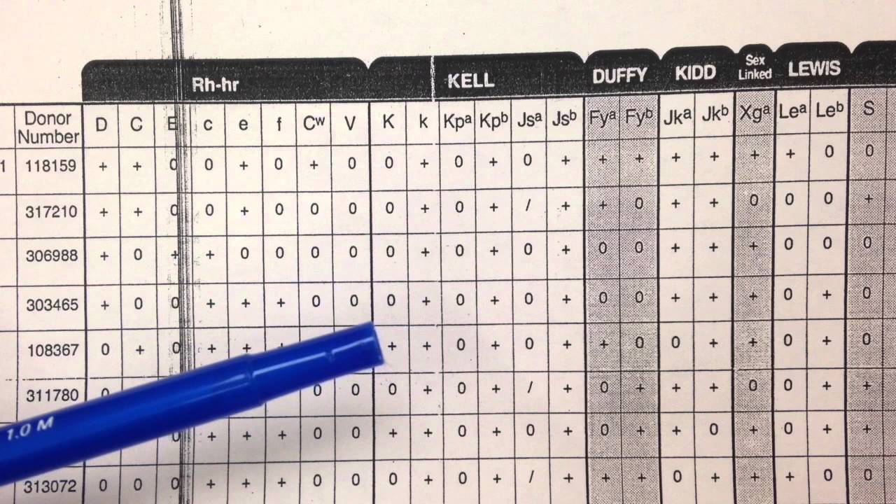Blood Bank- Antibody Panel Overview