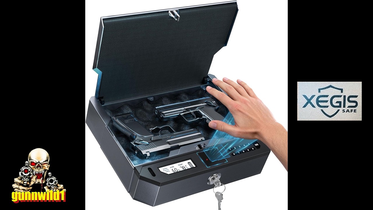 Xegis Palm Vien Safe