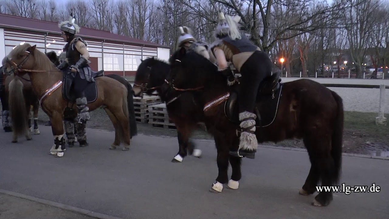 Isländer Gala  2017 im Landgestüt Zweibrücken