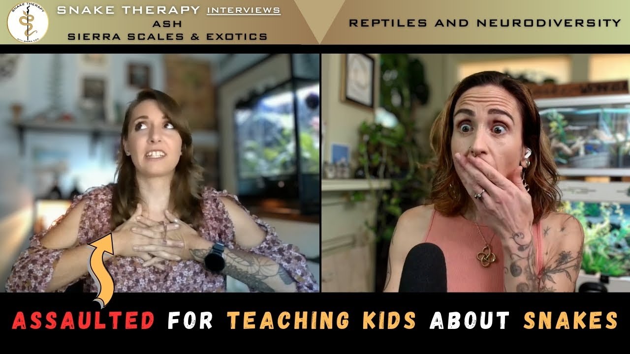 From Ball Python Breeding to Education: Sierra Scales Exotics