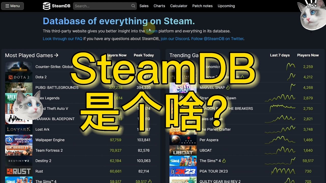 Steamdb是什么？怎么用Steamdb查询游戏的史低价格