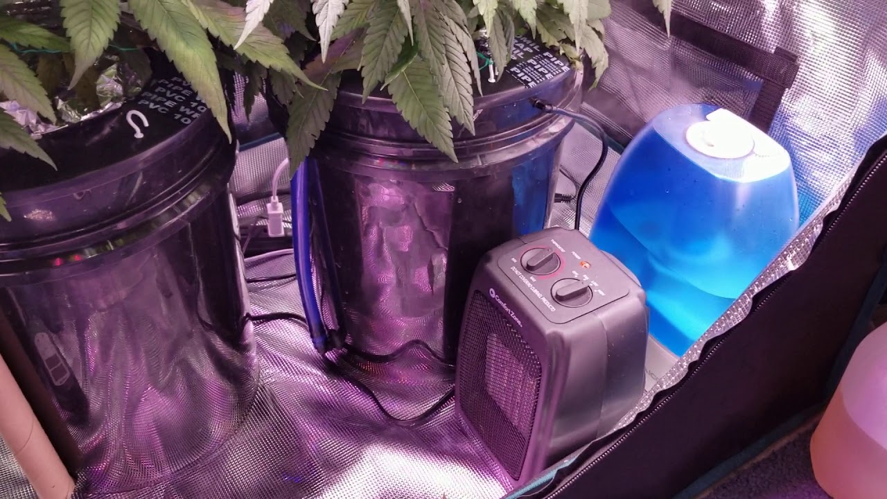 Giixer 1000W + MarsHydro SP 150