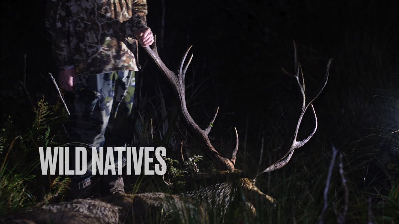 Wild Natives - Fiordland Wapiti 2022