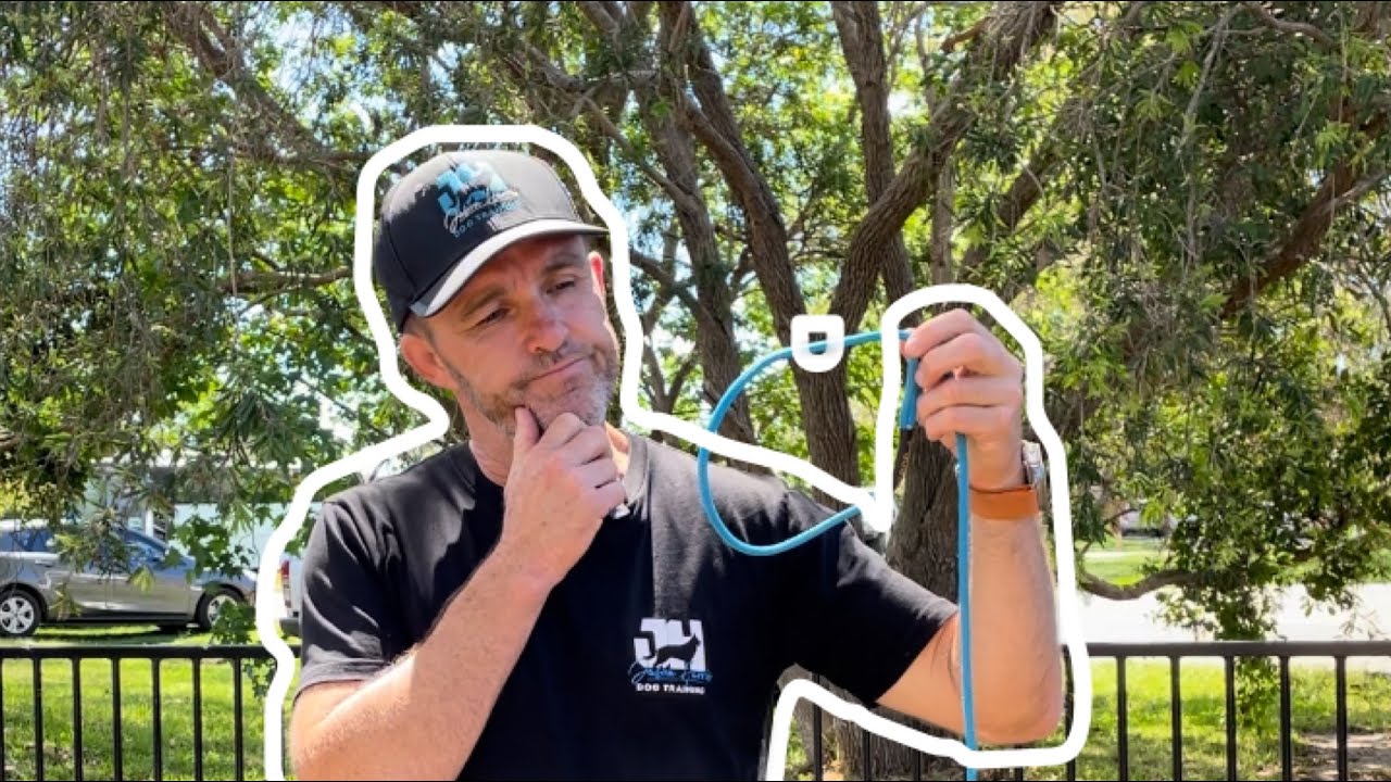 SLIP LEADS are misunderstood