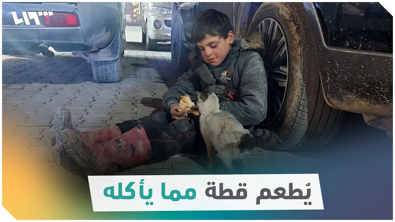 طفل مُهجّر يُطعم قطة مما يأكله خلال استراحته من تنظيف السيارات