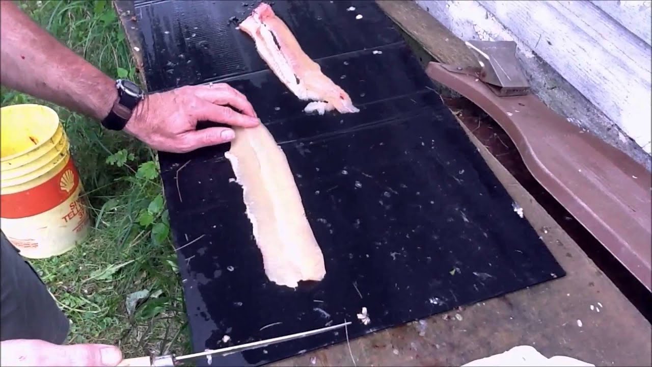 How to Debone & Fillet a Jack Fish (Northern Pike) - A Step by Step Tutorial
