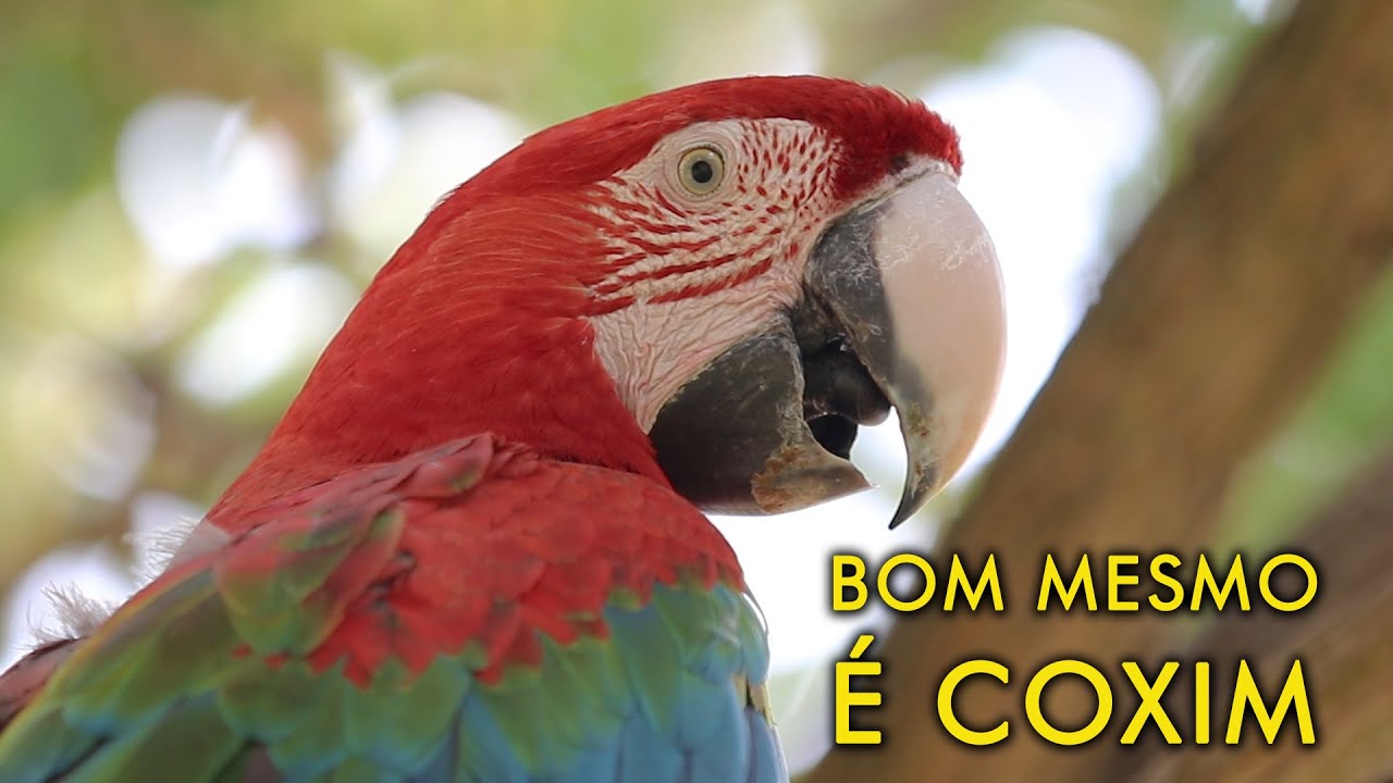 Conhe&ccedil;a o receptivo de Coxim - Mato Grosso do Sul