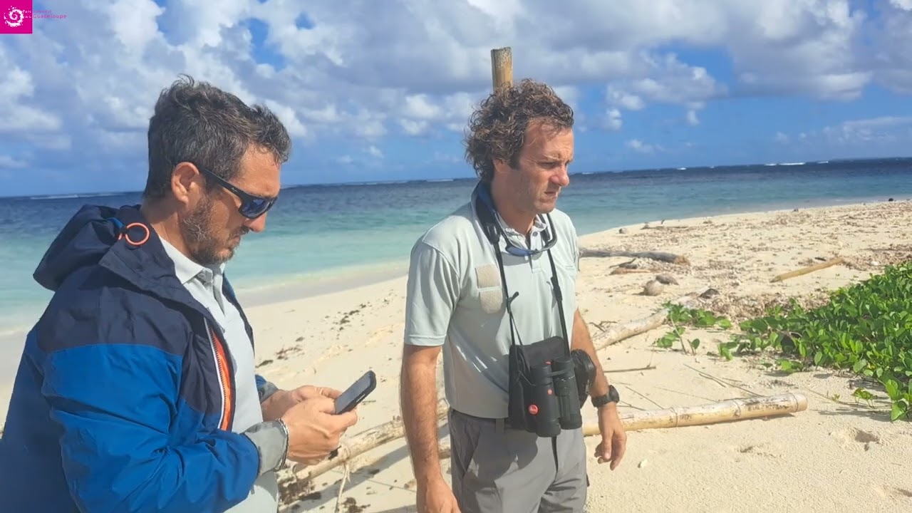 Sur l'îlet Caret, la nature reprend ses droits