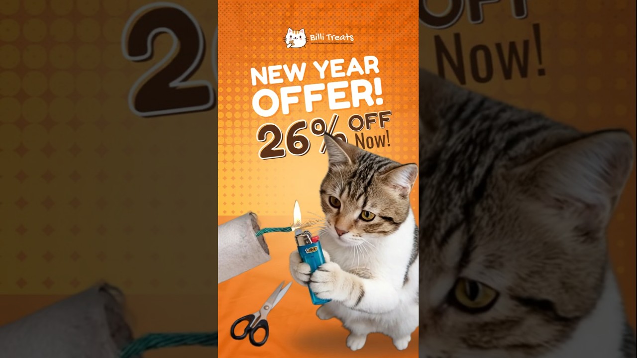 Billi Treats 26% Off Offer 🛒 | Cat Food in Karachi