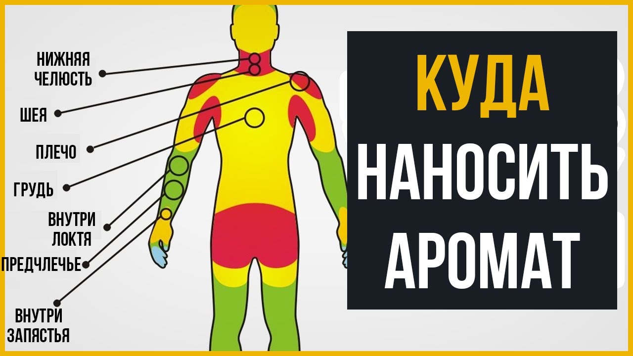 Как Правильно Носить Аромат | Как Использовать Духи
