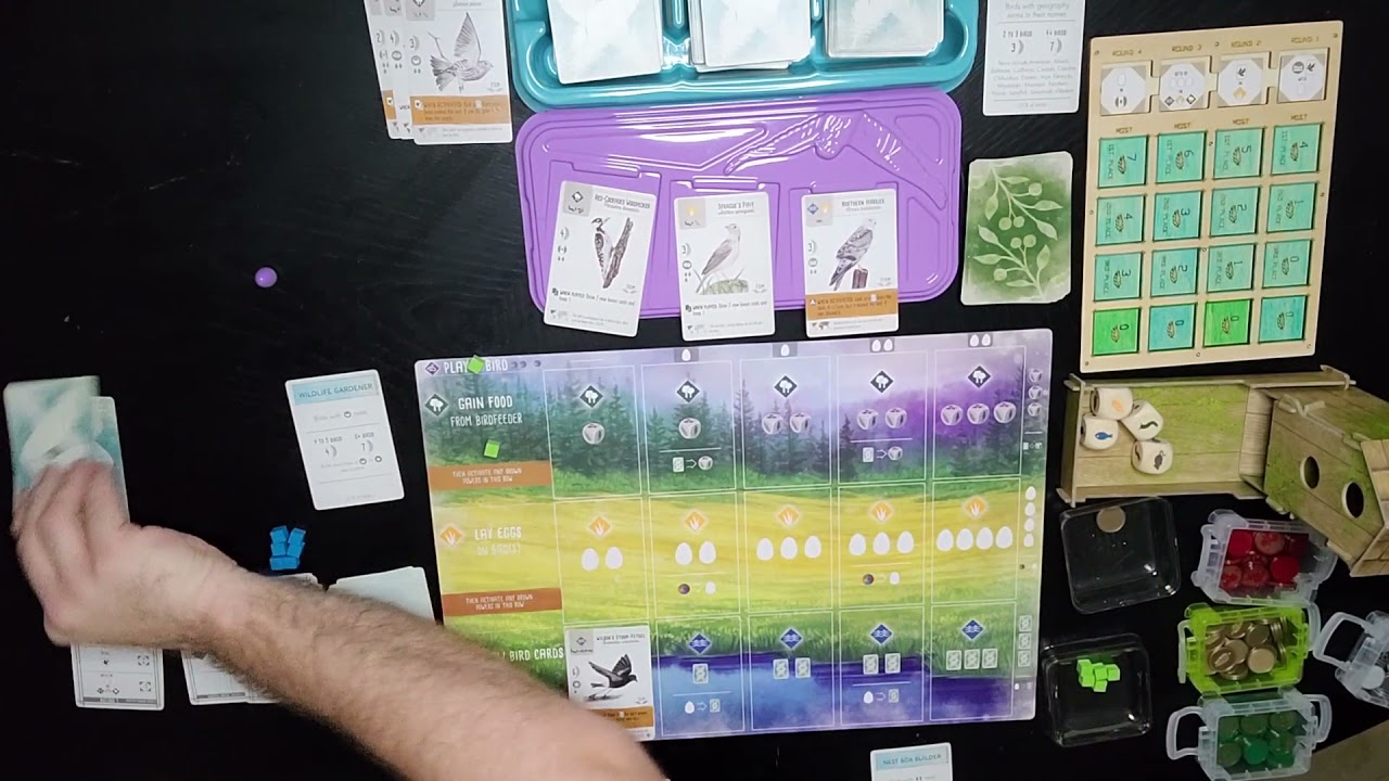 How to Play Wingspan Solo Mode with Playthrough