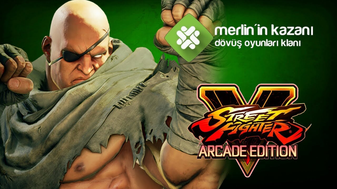 SFV AE - Sagat Combo Video