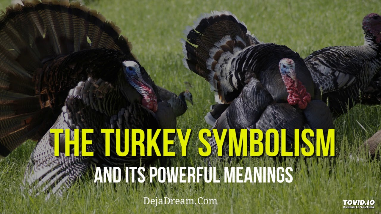The Turkey Symbolism And Its Powerful Meanings