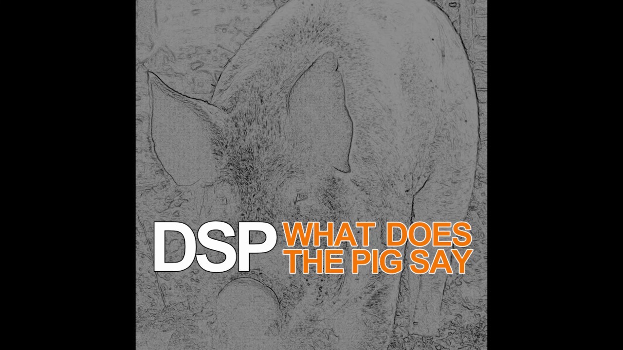 DSP Sings It - What Does The Pig Say